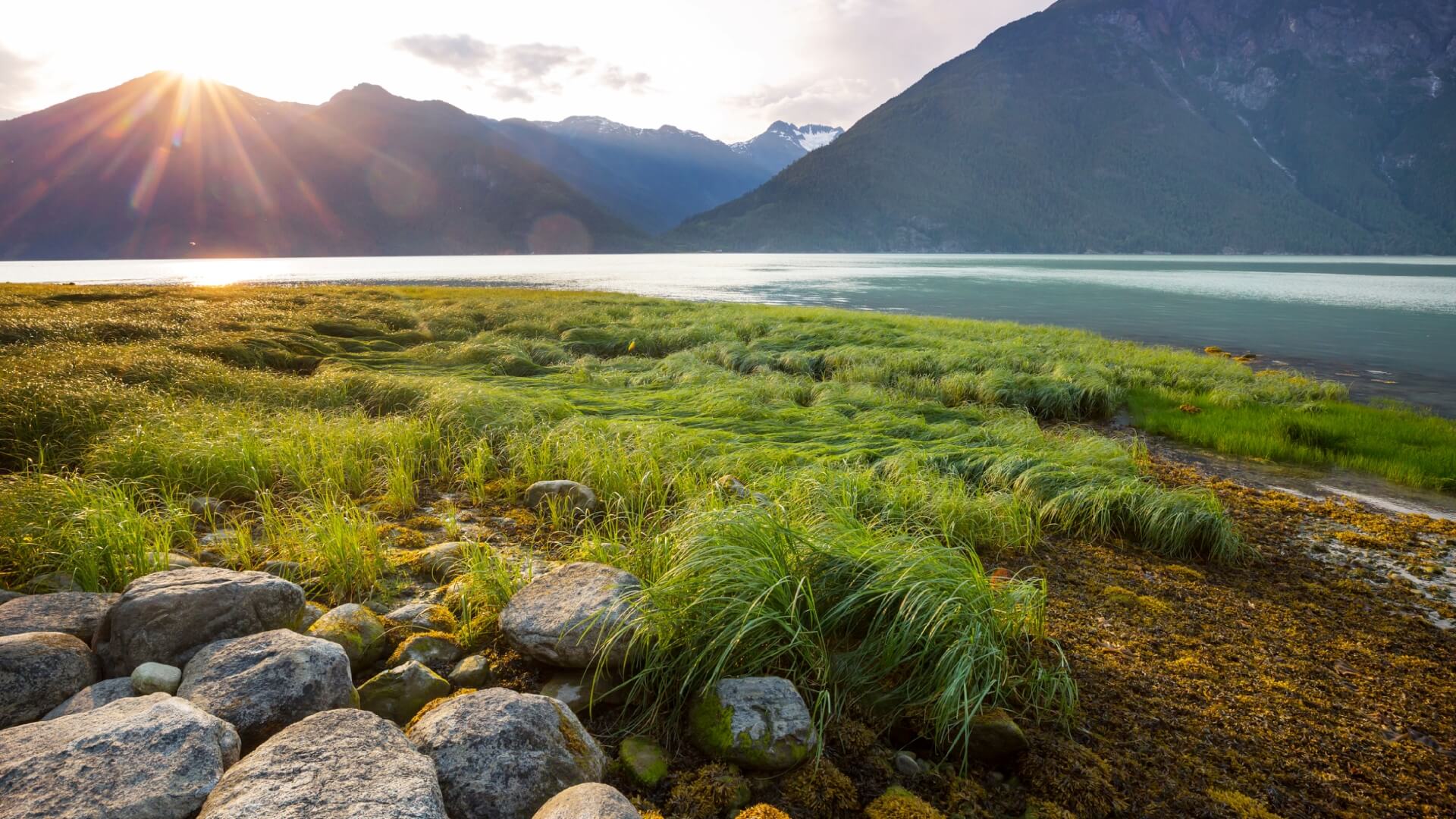 Williams Lake Credit Union Login Williams Lake Credit Union Login